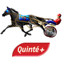 REUNION HIPPIQUE QUINTE+