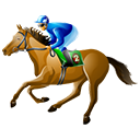 REUNION HIPPIQUE 16H