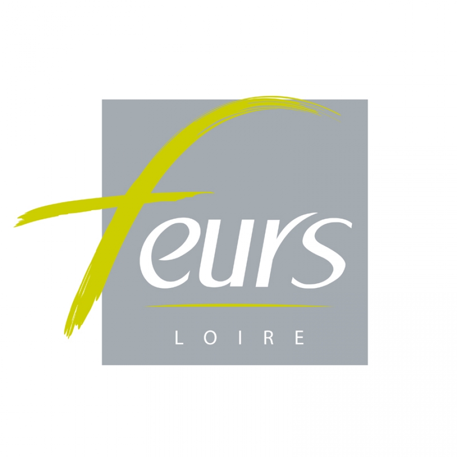 VILLE DE FEURS