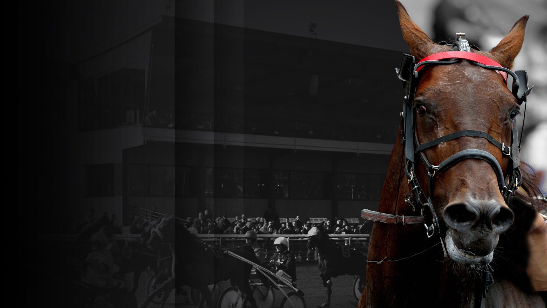 Hippodrome de Feurs