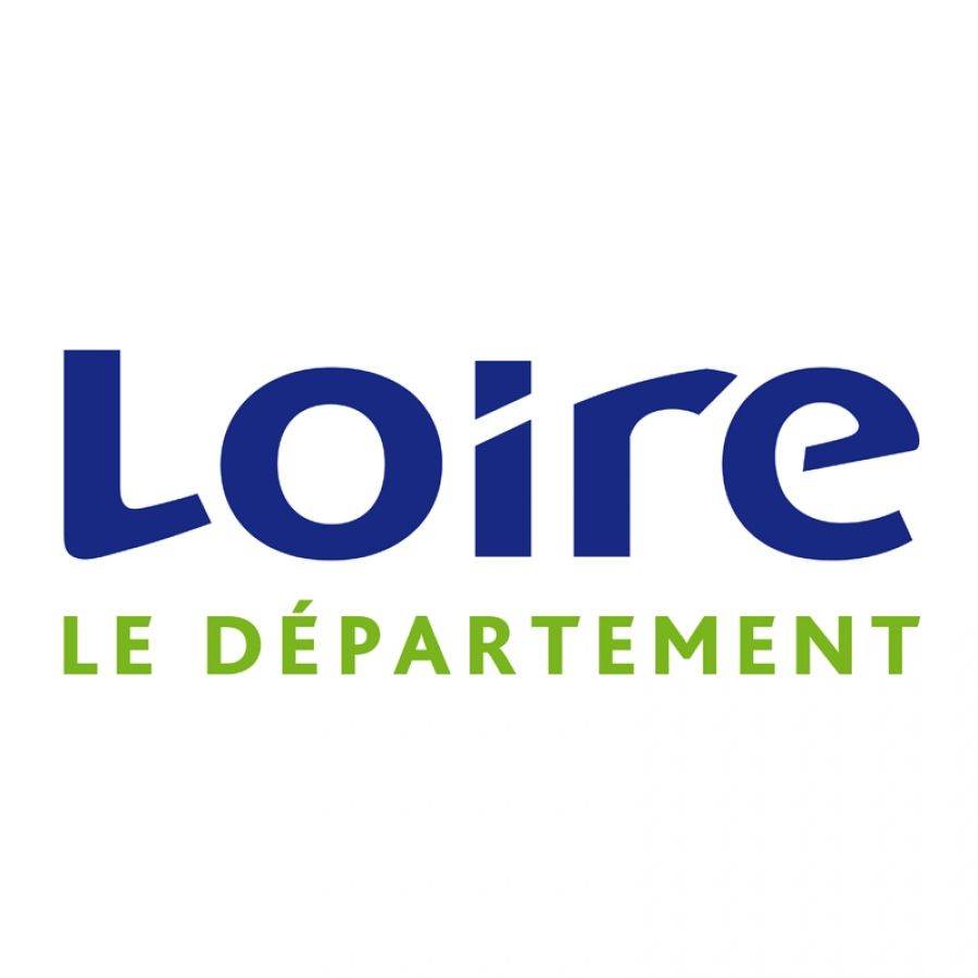 CONSEIL DEPARTEMENTAL DE LA LOIRE