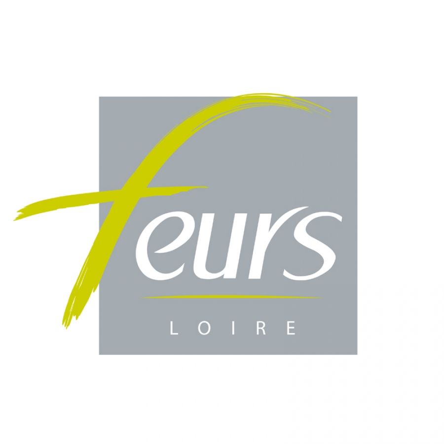 VILLE DE FEURS